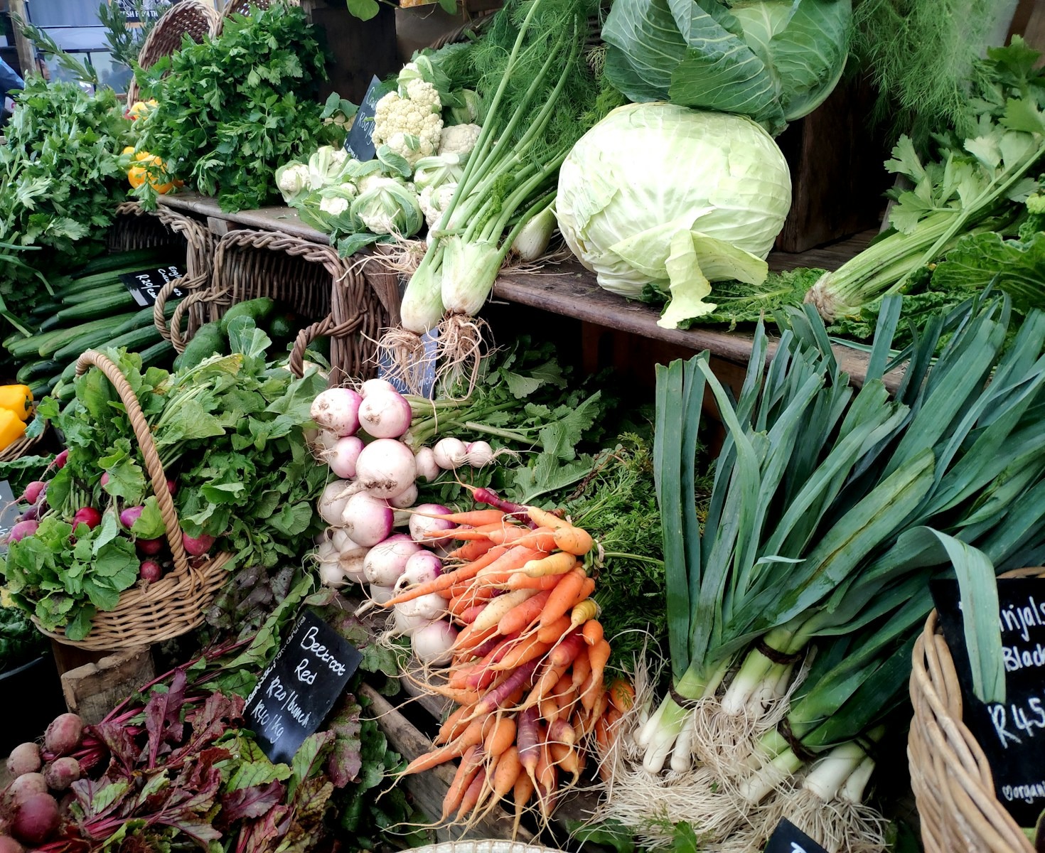 The Science Behind Our Natural Ingredients